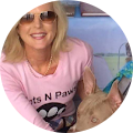 Debi Boies's Profile Image