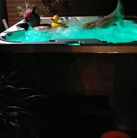 Daniel Sunk's profile image