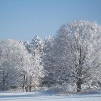 Sherry Wamsley's profile image
