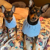 Lorri J. Stocum's profile image