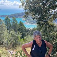Kristin Vanden Brul's profile image