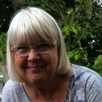 Lois Anderson Soule's profile image