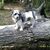 Marigail Cooper's profile image