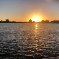 David Winston's profile image