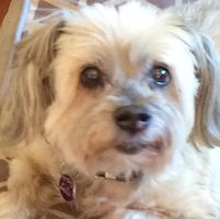 Sheena Wright's profile image