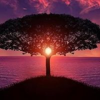 Kim Parsons's profile image