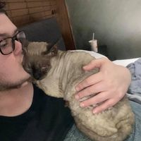 Jesse Strotz's profile image