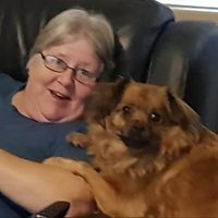 Sherry Ciantar's profile image