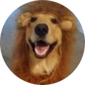 Profile Photo of Makenzie Staneart