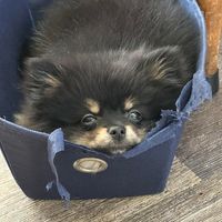 Lynn Avery's profile image