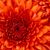 Braizell Whaley-Derrett's profile image