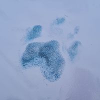 Sally Rath-knox's profile image