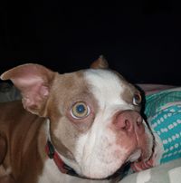 Brenda Hamilton Blocker's profile image