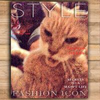 Susan Spurr's profile image