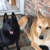 Roberta Myrick's profile image