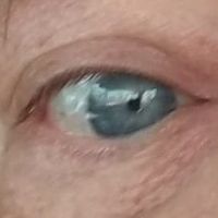 Rod Brown's profile image