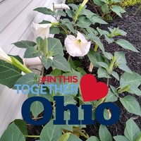 Debbie Ashley's profile image