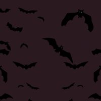 Tammy Marquez's profile image