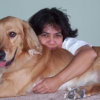 Sonia Olmoguez's profile image