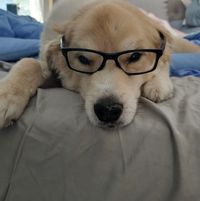 Kelly Gators's profile image