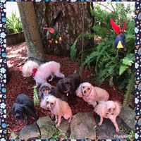 Sandra Uhland's profile image