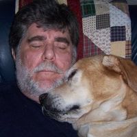 Donald Bridinger's profile image