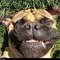 Wendy P.'s profile image
