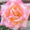 Barbara Ann M.'s profile image