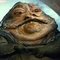 Amo M.'s profile image