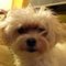 Naureen H.'s profile image