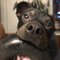 Tyler E.'s profile image