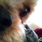 Jennifer W.'s profile image