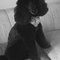 Paulina D.'s profile image