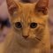 Kathleen H.'s profile image