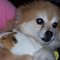 Mary T.'s profile image
