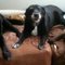 Heike M.'s profile image