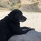 Kelsey T.'s profile image