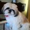 Suzanne F.'s profile image