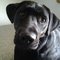 Cynthia W.'s profile image
