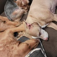 Jason Deal's profile image