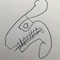 John Law's profile image