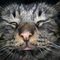 Karen L.'s profile image