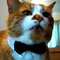 Garfield E.'s profile image