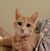 Amanda Marie's profile image