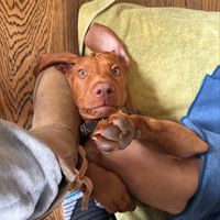 Monica Loder's profile image
