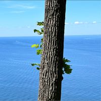 Terry Pitts's profile image