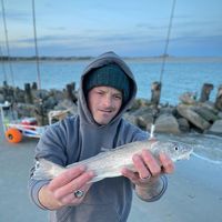 James Mitchell Tolliver's profile image