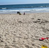 Sajjad Haroon's profile image