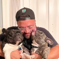 Edgar Rommel Tovar's profile image