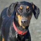 Julia Pawlowski Hagar's profile image